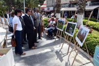 SERGİ AÇILIŞI - 'Tarım Ve İnsan' Konulu Sergi Sökelilerin Beğenisine Sunuldu