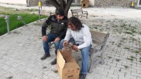 VAN YÜZÜNCÜ YıL ÜNIVERSITESI - Van'da Yaralı Bulunan Kuşlar Tedavi Altına Alındı