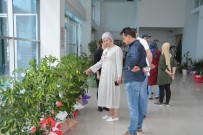 ORHAN VELI - Belediye Başkanına Gelen Çiçekler Satıldı