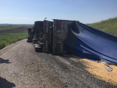 Buğday Yüklü Tır Devrildi Açıklaması 1 Yaralı