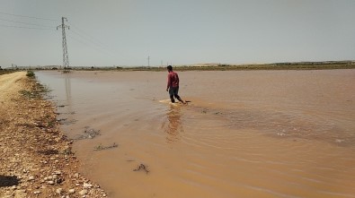 DSİ'ye Ait Sulama Borusu Patladı Ekili Araziler Su Altında Kaldı