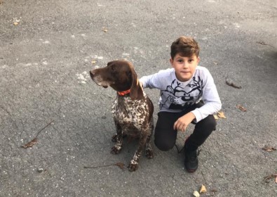 Sarıyer'de salyangoz zehri dehşeti