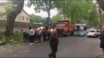 OTOBÜS DURAĞI - Sarıyer'de Tırın Çarptığı Ağaç Otobüs Durağına Devrildi