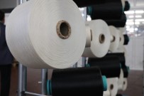 İSVIÇRE - Tekstilde Sevindiren Haber