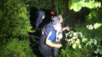 KAYAPA - Ağaç Kesmek İçin Ormana Giden Ve Haber Alınamayan Şahsın Arama Çalışmalarına Yağmur Engeli