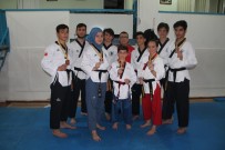 TEKVANDO - Amasyalı Tekvandoculardan 2 Altın, 6 Gümüş
