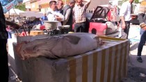 KARASU NEHRİ - Karasu Nehri'nde 83 Kilogram Ağırlığında Turna Balığı Yakalandı