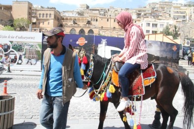 Mardin'de Atlı Turizm