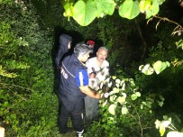 KAYAPA - Yaşlı Adam Ağaç Kesmek İçin Gittiği Ormanda Kayboldu