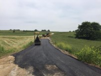 HALIÇ - Adapazarı'nda Mahalleler Yaza Hazırlanıyor