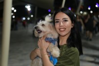 YANıLSAMA - Evcil Hayvan Giremez Yasağının Olduğu Millet Parkına Köpekleri İle Girerek Yasağı Protesto Ettiler
