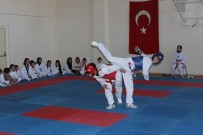 19 MAYıS - Gençlik Haftası Taekwondo Turnuvası Yapıldı