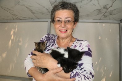 Lüks Siteyi İkiye Bölen Karavan