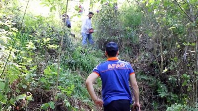 Ordu'da Kaybolan Yaşlı Kadının Cesedi Bulundu