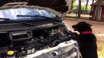 Radyatörün Su Deposuna Sıvı Uyuşturucu Gizlemişler