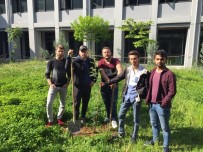 BÜLENT ECEVİT ÜNİVERSİTESİ - Şehit Tunahan Kartal'ın Ailesini Ve Mezarını Ziyaret Ederek Fidan Diktiler