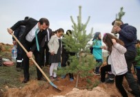 96 Milyona Ulaşıldı, Hedef 100 Milyon