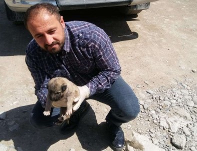 Annesi Ölen Yavru Köpeğe Belediye Çalışanları Sahip Çıktı