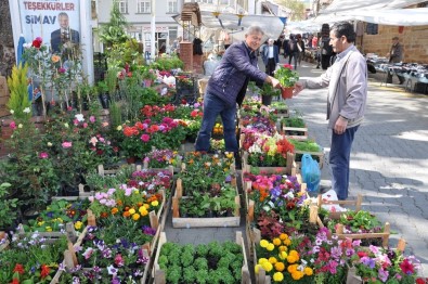 Bahar Çiçekleri Tezgahlardaki Yerini Aldı