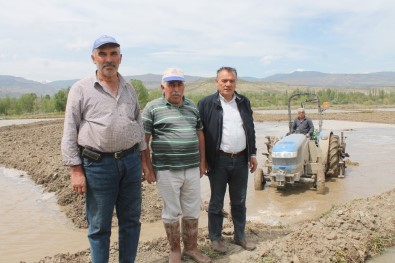 Tosya Pirincinin Ekim Hazırlıkları Başladı