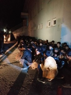 Van'da 221 Kaçak Göçmen Yakalandı