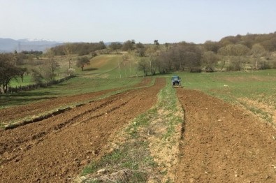 Bolu'da, 'Tıbbi Aromatik Bitki Bahçesi' Oluşturuldu