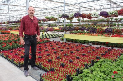 Çiçek Üreticisinin Ürünü Elinde Kaldı