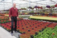 Çiçek Üreticisinin Ürünü Elinde Kaldı