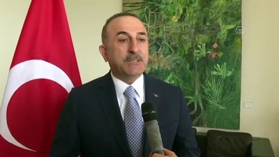 Dışişleri Bakanı Çavuşoğlu Guyanalı Mevkidaşıyla Görüştü