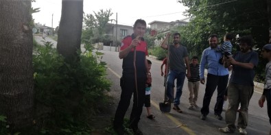 Kuş Kafesine Girmeye Çalışan Yılan Tellere Sıkışınca İtfaiye Kurtardı