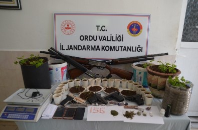 Ordu'da Uyuşturucu Operasyonu Açıklaması 7 Tutuklama