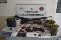 Ordu'da Uyuşturucu Operasyonu Açıklaması 7 Tutuklama Haberi