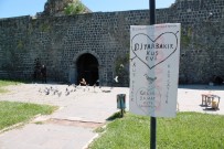 DÜĞÜN FOTOĞRAFI - Tarihi Surların İçine Kuş Evi Yaptı