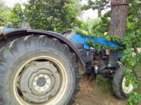 BELEVI - Traktör İle Ağaç Arasında Kalarak Can Verdi