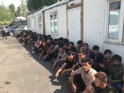 Van'da 77 Kaçak Göçmen Yakalandı