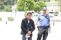 ZEYTİNYAĞI - Zeytinyağı Hırsızına Bekçilerden Suçüstü