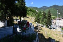 ARTVİN BELEDİYESİ - Artvin'de Mezarlıklar Bayrama Hazırlanıyor