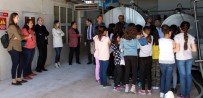 MELIKŞAH - İlköğretim Öğrencileri Süt Toplama Soğutma Ve Süt Analiz Merkezini Gezdi