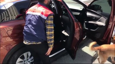 İstanbul'da Uyuşturucu Operasyonu