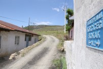 SOKAK KÖPEKLERİ - Köpeklerin Öldürdüğü, Yaşlı Kadın İle İlgili Başsavcılıktan Açıklama