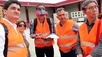 Manisa Kirazı, Güney Kore Yolcusu