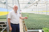 GAZIOSMANPAŞA ÜNIVERSITESI - Tokat'ta Yerli Ve Milli Tohum Projesine Önemli Destek