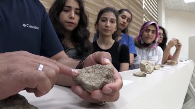 50 Milyon Yıllık Fosil Diyarbakır'da Sergileniyor