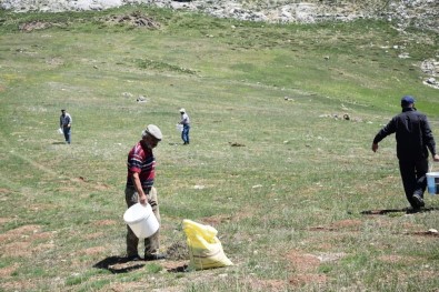 Antalya İl Tarım Ve Orman Müdürlüğü'nden Mera Islah Çalışmaları