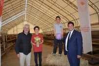 SÜT ÜRÜNLERİ - Aşkale'de Süt Şenliği