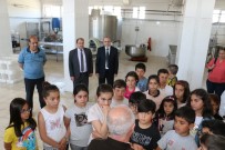 FARUK GÜNAY - Erzincan'da Dünya Süt Günü Kutlandı