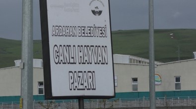 Hayvan Pazarı Karantinaya Alındı