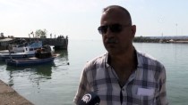 GıRGıR - Kıyı Balıkçıları Rotalarını Lüfer Ve Çinekopa Çevirdi