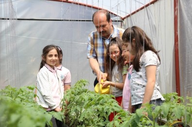 Kocaeli'de Okul Bahçesine Kurulan Seralar Minik Öğrencileri Toprakla Tanıştırıyor