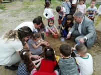 KEMAL DURU - Kulalı Minik Öğrencilerden Çimlendirme Çalışması